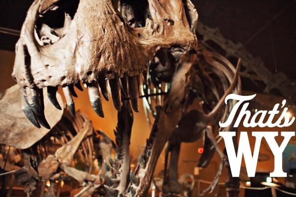 Video Thumbnail - youtube - Paleontology in Wyoming - That's WY
