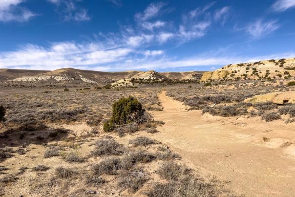 A dirt trail surrounded by a sprawling desert landscape covered with brush and hills in Rock Springs.