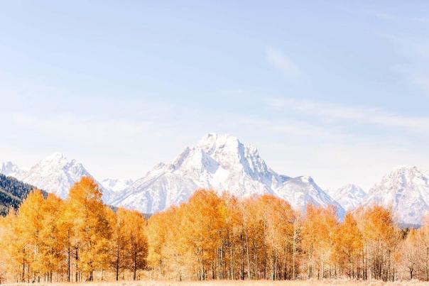 top things to do yellowstone
