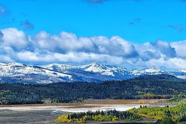 wyomingmountaincabin-Instagram-2700-ig-17928170005781242-custom