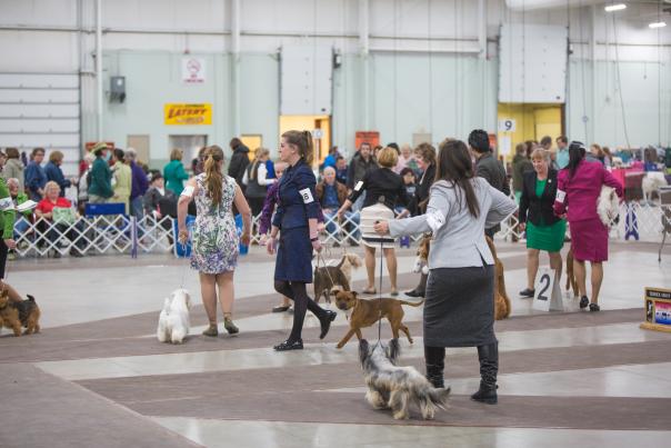 Celtic Classic Dog Show
