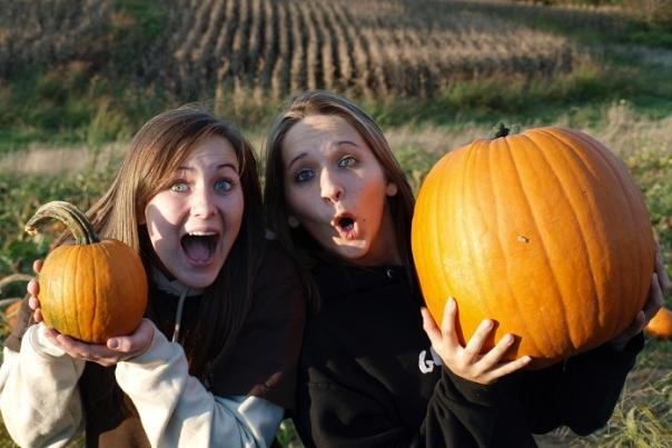 Maple Lawn Pumpkins