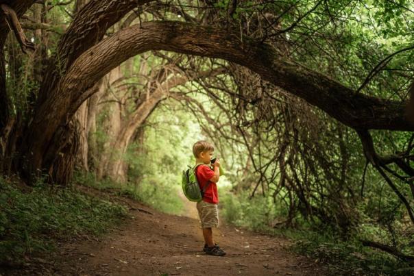 Nixon Park Hiking