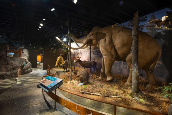 Exhibit at Museum of York County