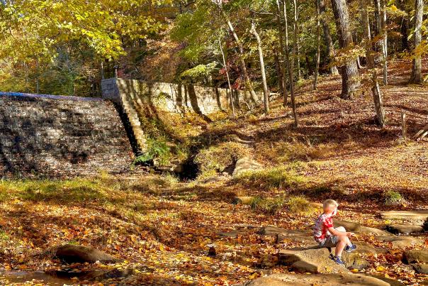 Kings Mountain State Park