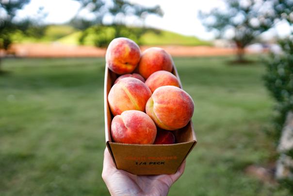Peaches