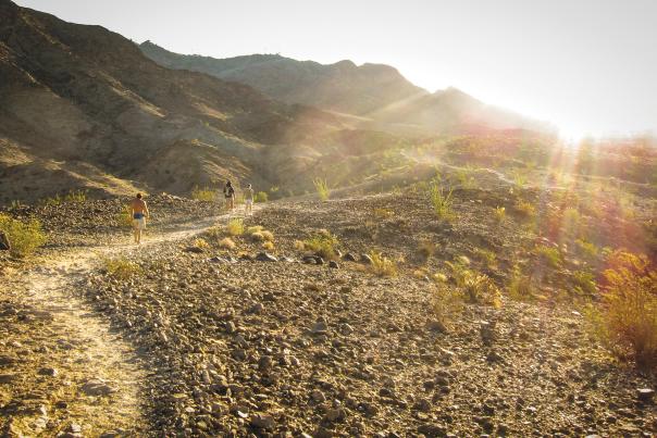 Telegraph Pass Trails