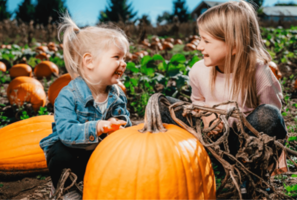 norfolk pumpkin patch