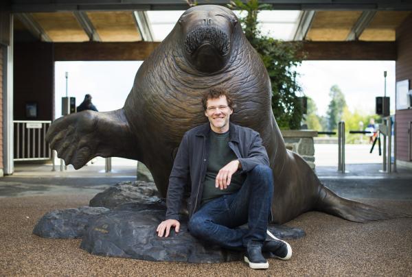 et pacific walrus public art point defiance aquarium