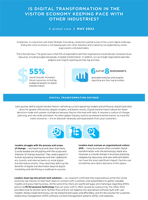 preview image of infographic