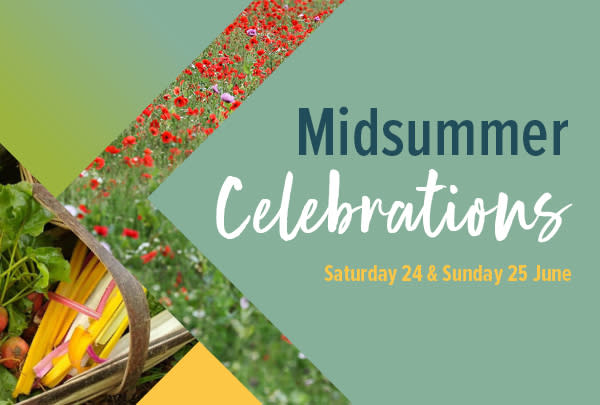 Weald & Downland midsummer promotion