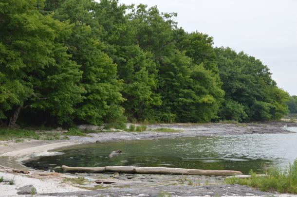 Haldimand Rock Point