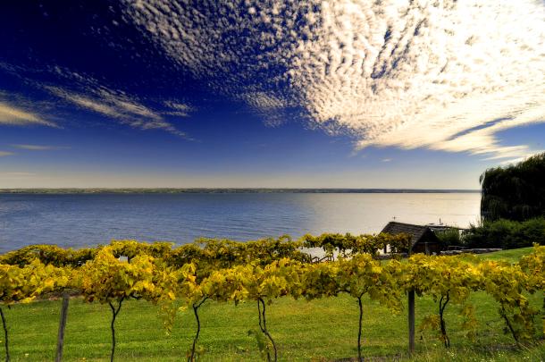 Wineries near cayuga lake outlet