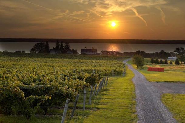 Best wineries on seneca lake shop