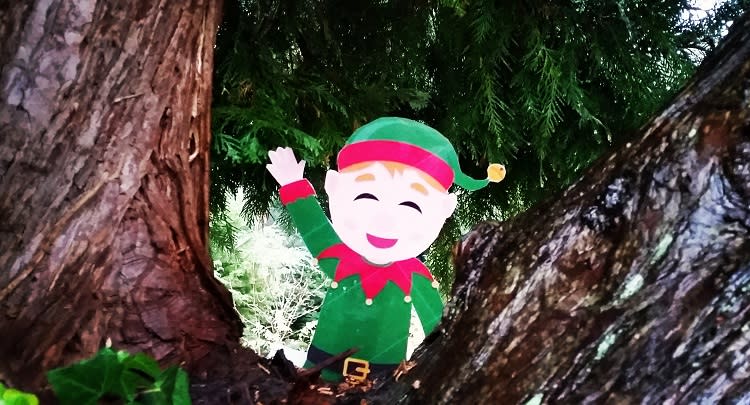 Batsford Arboretum Elf Hunt