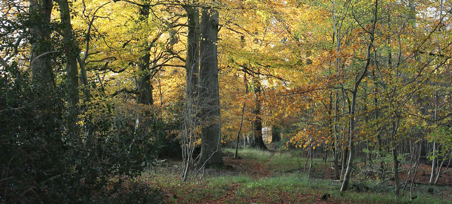Cotswold Walks