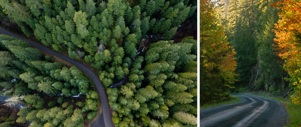 Scenic roads near Glide, Oregon