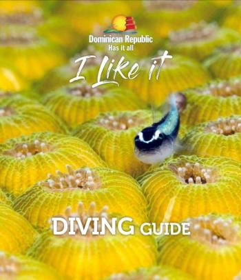 I Like it Diving Guide cover