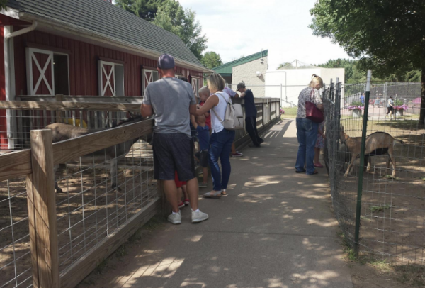 Petting Zoo