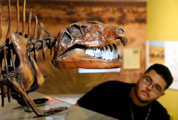 Museum of Nature and Science