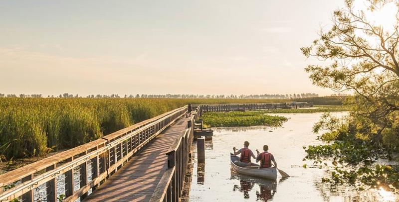 Point Pelee Boardwalk