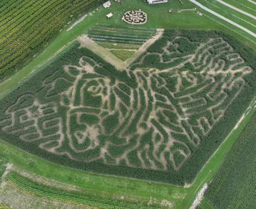 2026 Flinchbaugh's corn maze