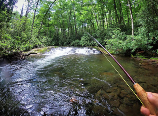 Fly Fishing Guide to Bryson City and the Great Smoky Mountains including  Delayed Harvest Waters