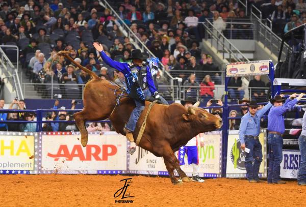 A Competitor riding a bull at the American Rodeo