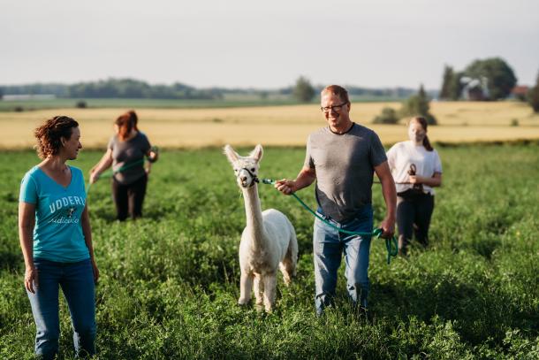 A taste of farm