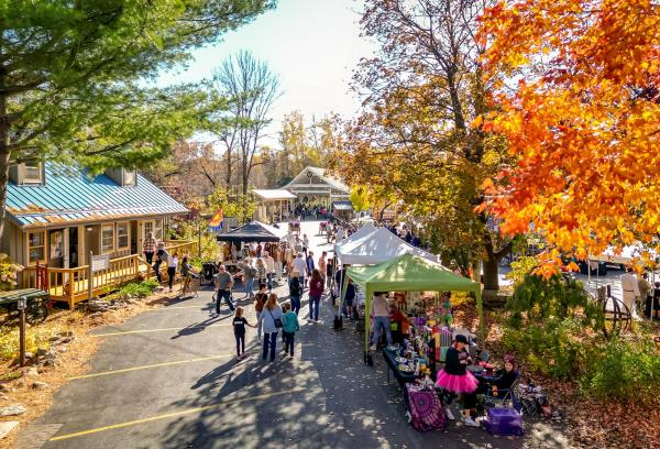 Vickery Village Fall