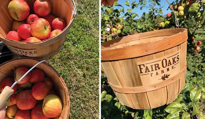 Fair Oaks Farm Orchard apples and buckets