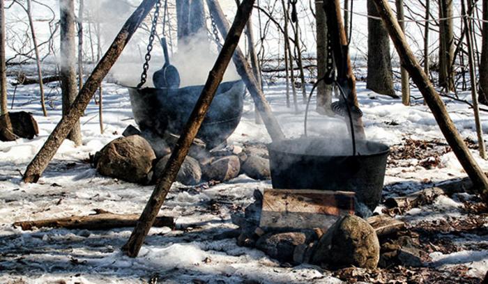 Maple Syrup Time Indiana Dunes