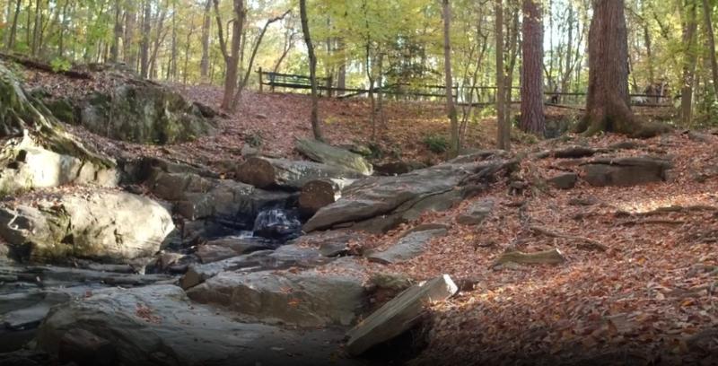 Stream