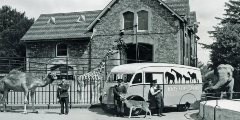 Black and white photo of Bristol Zoo Gardens - credit Bristol Zoo Project archive