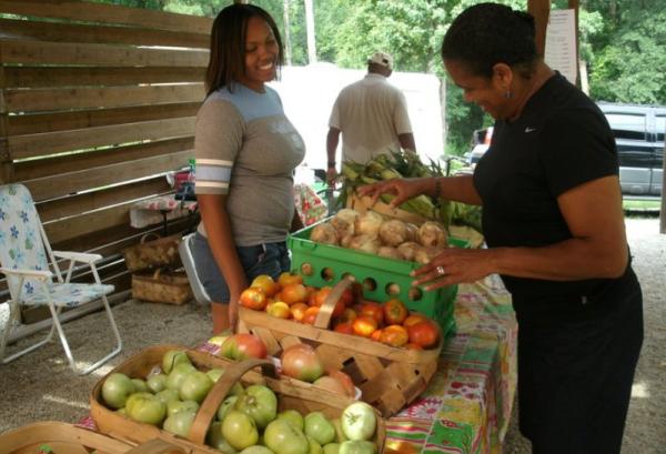 Two people selecting fresh fruits and vegetables at an outdoor farmers market stand