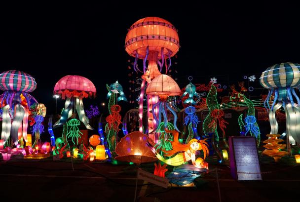 lightup fest