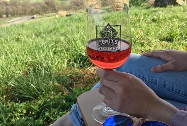 Bluemont Vineyards