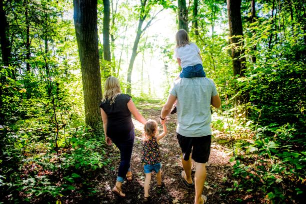 Walking trails