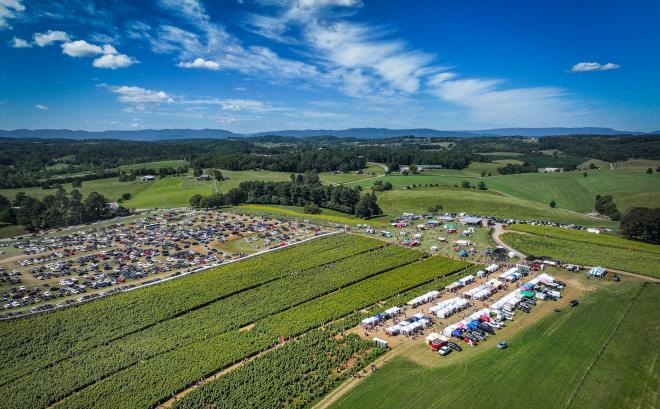Beaver Dam Sunflower Festival - Buchanan, Virginia