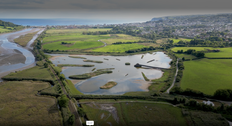 seaton wetlands
