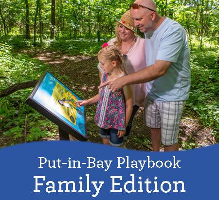 PIB Playbook