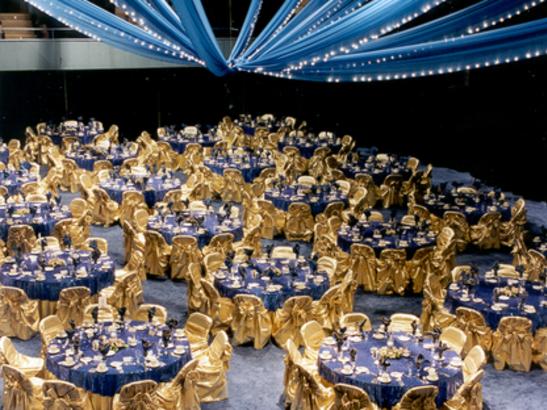 Auditorium set for a large banquet