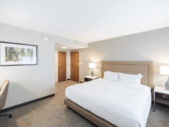 Standard King Guest Room