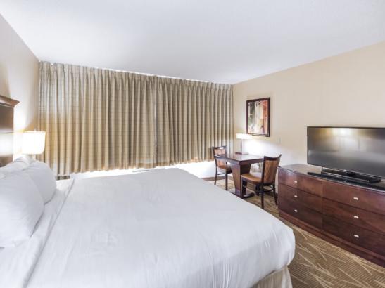 Standard Guest Room - King