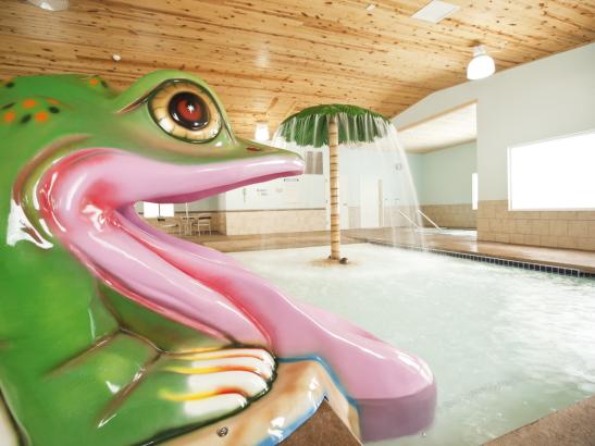Frog Slide - Kiddie Pool