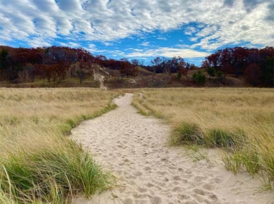 Boater's Beach: Indiana Dunes