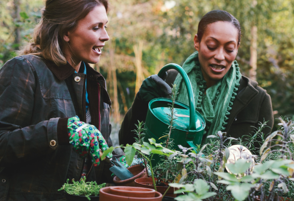 Community Garden