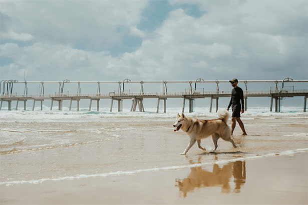 Man walking dog on beach