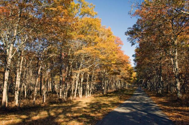 Connetquot River State Park Preserve 1434