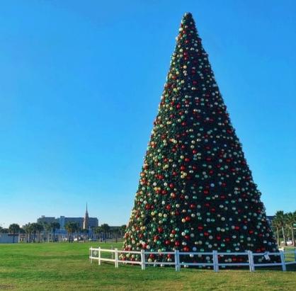 Your Guide to Merry Days by the Bay
